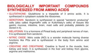 BIOLOGICALLY IMPORTANT COMPOUNDS
SYNTHESIZED FROM AMINO ACIDS
• GLUTATHIONE: Glutathione is a tripeptide of 3 amino acids. It is
synthesized in cytoplasm outside the ribosomes.
• SEROTONIN: Serotonin is synthesized in special "serotonin producing"
cells (also called Argentaffin cells or Kultchitsky's cells) of tissues like
gastric mucosa, intestine, brain, mast cells and probably platelets (or
stored in it).
• MELATONIN: It is a hormone of Pineal body and peripheral nerves of man.
It is synthesized from serotonin.
• NITRIC OXIDE: Nitric oxide (NO) is a wonder molecule having diverse
functions like PGs and is synthesized in the body from amino acid
arginine.
• CREATINE AND CREATININE: Creatine is found in the muscle, liver,
kidney and brain. It is synthesized in the liver and kidney from glycine,
arginine and methionine.
 