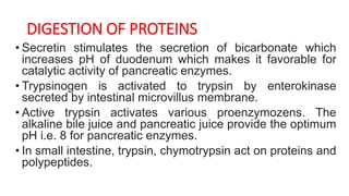 DIGESTION OF PROTEINS
• Secretin stimulates the secretion of bicarbonate which
increases pH of duodenum which makes it favorable for
catalytic activity of pancreatic enzymes.
• Trypsinogen is activated to trypsin by enterokinase
secreted by intestinal microvillus membrane.
• Active trypsin activates various proenzymozens. The
alkaline bile juice and pancreatic juice provide the optimum
pH i.e. 8 for pancreatic enzymes.
• In small intestine, trypsin, chymotrypsin act on proteins and
polypeptides.
 