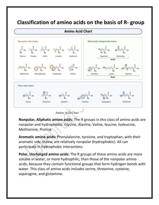 Classification of amino acids on the basis of R- group
Amino Acid Chart
Nonpolar, Aliphatic amino acids: The R groups in t...