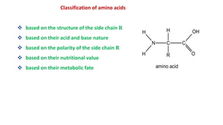 Amino Acids.pdf