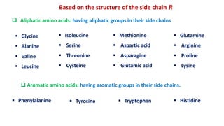 Amino Acids.pdf