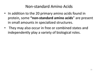 Amino acids.pptx