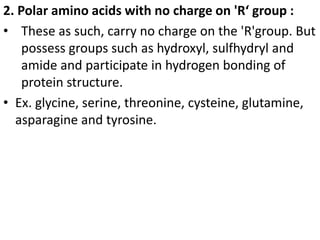 2. Polar amino acids with no charge on 'R‘ group :
• These as such, carry no charge on the 'R'group. But
possess groups such as hydroxyl, sulfhydryl and
amide and participate in hydrogen bonding of
protein structure.
• Ex. glycine, serine, threonine, cysteine, glutamine,
asparagine and tyrosine.
 