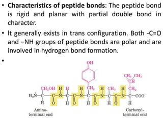 • Characteristics of peptide bonds: The peptide bond
is rigid and planar with partial double bond in
character.
• lt generally exists in trans configuration. Both -C=O
and –NH groups of peptide bonds are polar and are
involved in hydrogen bond formation.
•
 