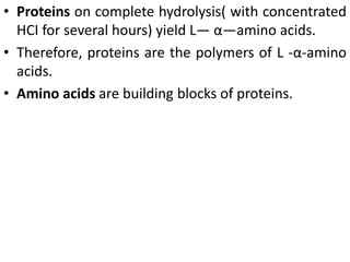 • Proteins on complete hydrolysis( with concentrated
HCI for several hours) yield L— α—amino acids.
• Therefore, proteins are the polymers of L -α-amino
acids.
• Amino acids are building blocks of proteins.
 