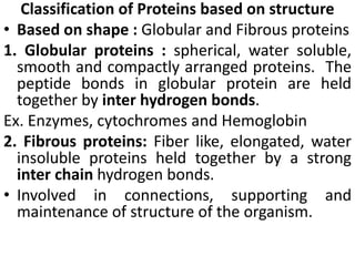 Classification of Proteins based on structure
• Based on shape : Globular and Fibrous proteins
1. Globular proteins : spherical, water soluble,
smooth and compactly arranged proteins. The
peptide bonds in globular protein are held
together by inter hydrogen bonds.
Ex. Enzymes, cytochromes and Hemoglobin
2. Fibrous proteins: Fiber like, elongated, water
insoluble proteins held together by a strong
inter chain hydrogen bonds.
• Involved in connections, supporting and
maintenance of structure of the organism.
 