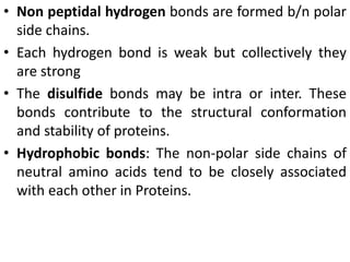 • Non peptidal hydrogen bonds are formed b/n polar
side chains.
• Each hydrogen bond is weak but collectively they
are strong
• The disulfide bonds may be intra or inter. These
bonds contribute to the structural conformation
and stability of proteins.
• Hydrophobic bonds: The non-polar side chains of
neutral amino acids tend to be closely associated
with each other in Proteins.
 