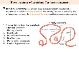 Amino Acids of the body and their structures and .pptx