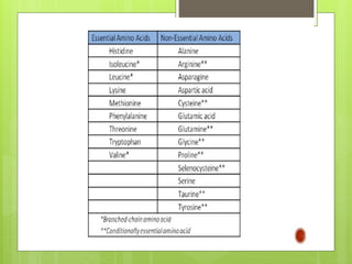 amino acids ppt Proteins structure Primary, Secondary | PPTX