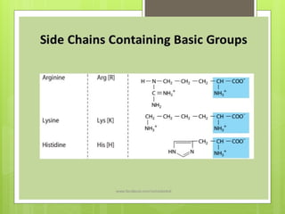 amino acids ppt Proteins structure Primary, Secondary | PPTX