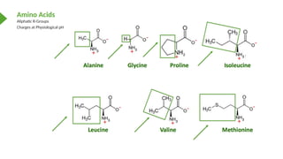 Amino Acids Introduction the nomenclature | PPTX