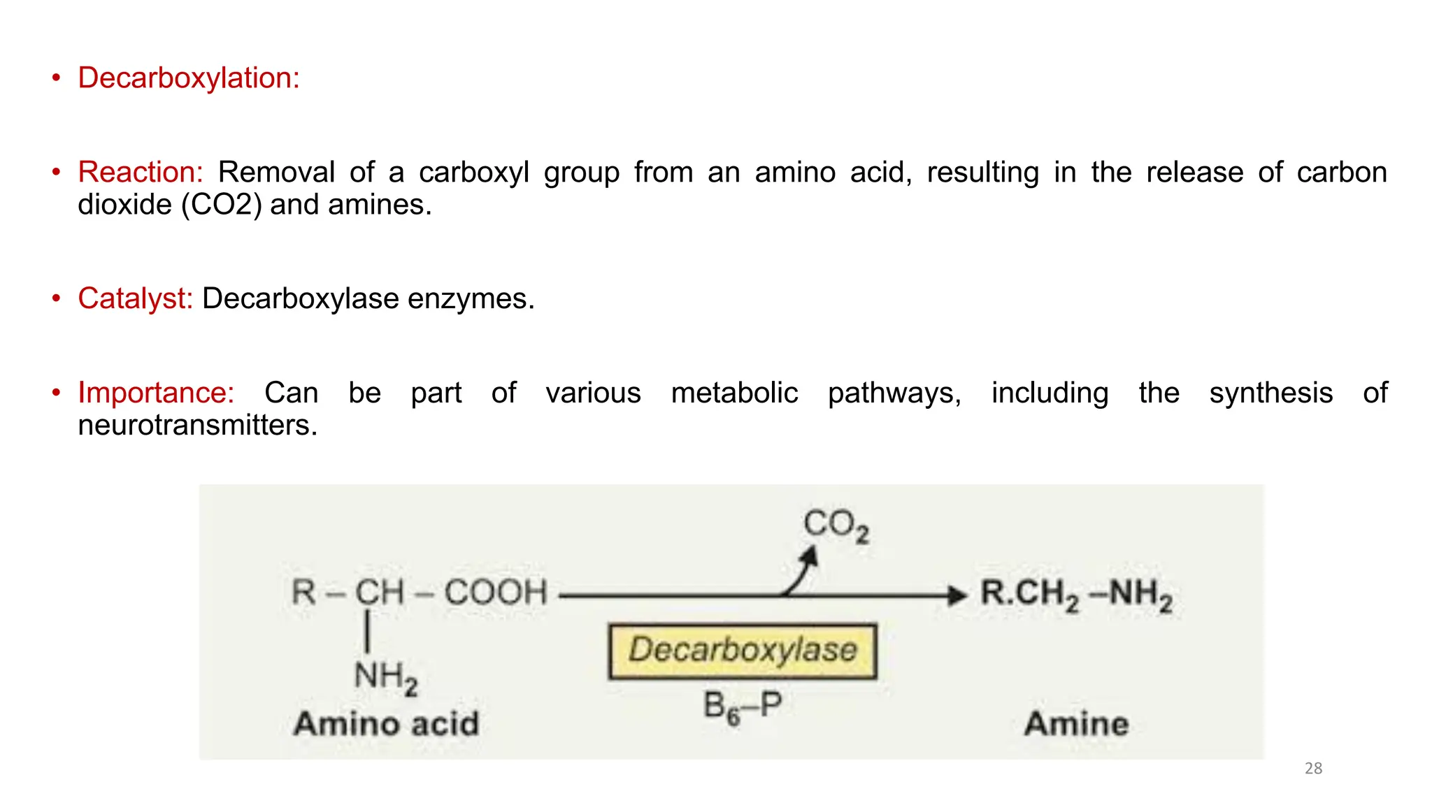 Amino acids-Classification, Structure, and reactions of amino acids.pdf