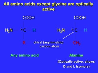 All amino acids except glycine are optically
active
COOH COOH
H2N α C H H2N α C H
R CH3
Any amino acid Alanine
(Optically active, shows
D and L isomers)
chiral (asymmetric)
carbon atom
 