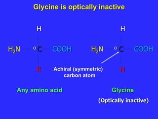 Glycine is optically inactive
H H
H2N α C COOH H2N α C COOH
R H
Any amino acid Glycine
(Optically inactive)
Achiral (symmetric)
carbon atom
 