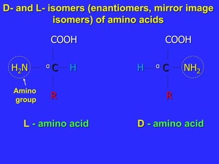 D- and L- isomers (enantiomers, mirror image
isomers) of amino acids
COOH COOH
H2N α C H H α C NH2
R R
L - amino acid D - amino acid
Amino
group
 