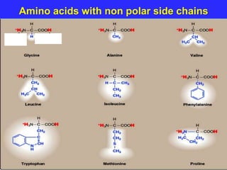 Amino acids with non polar side chains
 