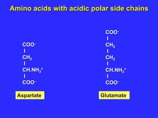 COO-
I
CH2
I
CH.NH3
+
I
COO-
Aspartate
COO-
I
CH2
I
CH2
I
CH.NH3
+
I
COO-
Glutamate
Amino acids with acidic polar side chains
 