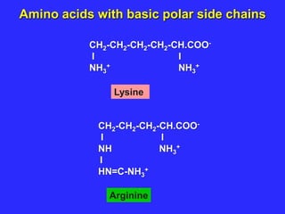 CH2-CH2-CH2-CH2-CH.COO-
I I
NH3
+ NH3
+
Lysine
CH2-CH2-CH2-CH.COO-
I I
NH NH3
+
I
HN=C-NH3
+
Arginine
Amino acids with basic polar side chains
 