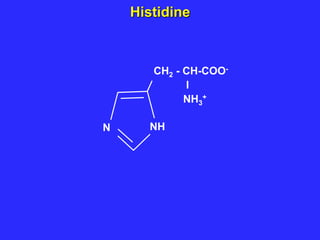 CH2 - CH-COO-
I
NH3
+
NH
N
Histidine
 