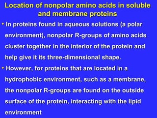 Location of nonpolar amino acids in soluble
and membrane proteins
• In proteins found in aqueous solutions (a polar
environment), nonpolar R-groups of amino acids
cluster together in the interior of the protein and
help give it its three-dimensional shape.
• However, for proteins that are located in a
hydrophobic environment, such as a membrane,
the nonpolar R-groups are found on the outside
surface of the protein, interacting with the lipid
environment
 