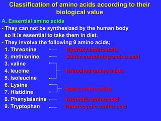 Classification of amino acids according to their
biological value
A. Essential amino acids
- They can not be synthesized by the human body
so it is essential to take them in diet.
- They involve the following 9 amino acids;
1. Threonine Hydroxy amino acid
2. methionine. Sulfur-containing amino acid
3. valine
4. leucine Branched amino acids
5. Isoleucine
6. Lysine
7. Histidine
8. Phenylalanine Aromatic amino acid
9. Tryptophan Heterocyclic amino acid
Basic amino acids
 