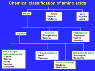 Sulfur containing
•Cysteine
•Methionine
Chemical classification of amino acids
Neutral Acidic
•Aspartic
•Glutamic
Basic
•Arginine
•Lysine
Aliphatic Aromatic
•Phynylalanine
•Tyrosine
Heterocyclic
•Tryptophan
•Proline
•Histidine
With a straight
hydrocarbon chainsi
•Glycine
•Alanine
•Valine
•Leucine
•Isoleucine
Hydroxyl containing
•Serine
•Threonine
With an amide group
•Asparagine
•Glutamine
 