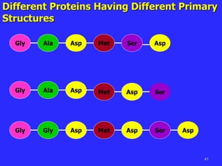 41
Different Proteins Having Different Primary
Structures
Gly Ala Asp Met Ser
Gly Asp
Ala Met Asp
Gly Ser
Gly Asp Met Asp
Asp
Asp
Ser
 