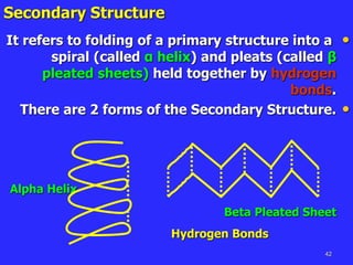 42
Secondary Structure
•
It refers to folding of a primary structure into a
spiral (called α helix) and pleats (called β
pleated sheets) held together by hydrogen
bonds.
•
There are 2 forms of the Secondary Structure.
Alpha Helix
Beta Pleated Sheet
Hydrogen Bonds
 