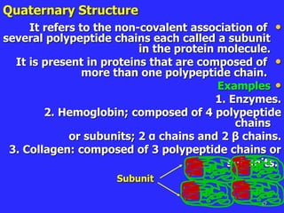 47
Quaternary Structure
•
It refers to the non-covalent association of
several polypeptide chains each called a subunit
in the protein molecule.
•
It is present in proteins that are composed of
more than one polypeptide chain.
•
Examples
1. Enzymes.
2. Hemoglobin; composed of 4 polypeptide
chains
or subunits; 2 α chains and 2 β chains.
3. Collagen: composed of 3 polypeptide chains or
subunits.
Subunit
 