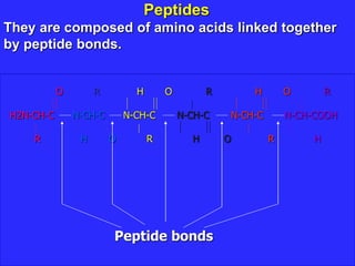 Peptides
They are composed of amino acids linked together
by peptide bonds.
O R H O R H O R
H2N-CH-C N-CH-C N-CH-C N-CH-C N-CH-C N-CH-COOH
R H O R H O R H
Peptide bonds
 