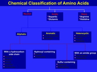 Sulfur containing
•Cysteine
•Methionine
Chemical Classification of Amino Acids
Neutral Acidic
•Aspartic
•Glutamic
Basic
•Arginine
•Histidine
Aliphatic Aromatic
•Phynylalanine
•Tyrosine
Heterocyclic
•Tryptophan
•Proline
•Histidine
With a hydrocarbon
side chain
•Glycine
•Alanine
•Valine
•Leucine
•Isoleucine
Hydroxyl containing
•Serine
•Threonine
With an amide group
•Asparagine
•Glutamine
 