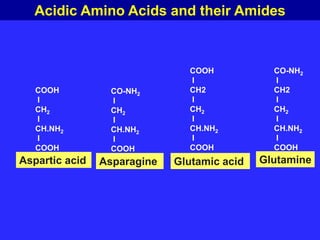 COOH
I
CH2
I
CH.NH2
I
COOH
Aspartic acid
CO-NH2
I
CH2
I
CH.NH2
I
COOH
Asparagine
COOH
I
CH2
I
CH2
I
CH.NH2
I
COOH
Glutamic acid
CO-NH2
I
CH2
I
CH2
I
CH.NH2
I
COOH
Glutamine
Acidic Amino Acids and their Amides
 