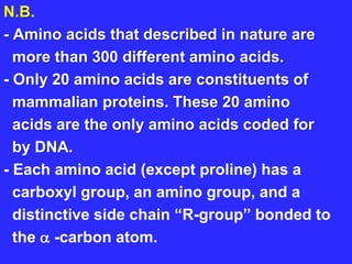 N.B.
- Amino acids that described in nature are
more than 300 different amino acids.
- Only 20 amino acids are constituents of
mammalian proteins. These 20 amino
acids are the only amino acids coded for
by DNA.
- Each amino acid (except proline) has a
carboxyl group, an amino group, and a
distinctive side chain “R-group” bonded to
the  -carbon atom.
 