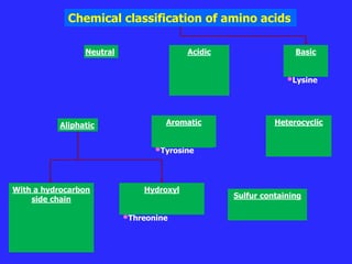 Sulfur containing
•Cysteine
•Methionine
Chemical classification of amino acids
Neutral Acidic
•Aspartic
•Glutamic
•Asparagine
•Glutamine
Basic
•Arginin
e
•Lysine
Aliphatic Aromatic
•Phynylalanin
e
•Tyrosine
Heterocyclic
•Tryuptophan
•Proline
•Histidine
With a hydrocarbon
side chain
•Glycine
•Alanine
•Valine
•Leucine
•Isoleucine
Hydroxyl
containing
•Serine
•Threonine
 