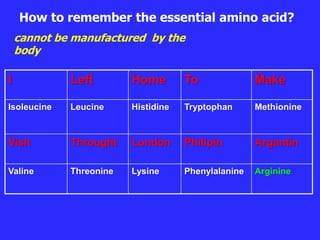 cannot be manufactured by the
body
How to remember the essential amino acid?
I Left Home To Make
Isoleucine Leucine Histidine Tryptophan Methionine
Visit Throught London Philipin Argantin
Valine Threonine Lysine Phenylalanine Arginine
 
