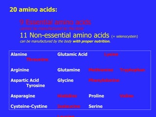 Alanine Glutamic Acid Lysine
Threonine
Arginine Glutamine Methionine Tryptophan
Aspartic Acid Glycine Phenylalanine
Tyrosine
Asparagine Histidine Proline Valine
Cysteine-Cystine Isoleucine Serine
9 Essential amino acids
cannot be manufactured by the body
11 Non-essential amino acids (+ selenocystein)
can be manufactured by the body with proper nutrition.
20 amino acids:
 