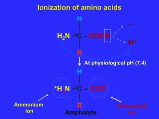 H

H2N -αC - COOH

R
Ionization of amino acids
H

+H3N -αC – COO

R
At physiological pH (7.4)
H+
Carboxylate
ion
Ammonium
ion Ampholyte
 