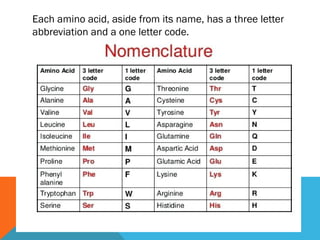 Each amino acid, aside from its name, has a three letter
abbreviation and a one letter code.
 