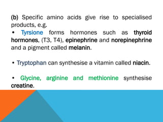 (b) Specific amino acids give rise to specialised
products, e.g.
• Tyrsione forms hormones such as thyroid
hormones, (T3, T4), epinephrine and norepinephrine
and a pigment called melanin.
• Tryptophan can synthesise a vitamin called niacin.
• Glycine, arginine and methionine synthesise
creatine.
 