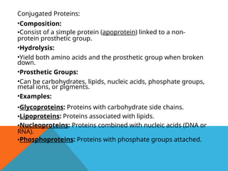 Conjugated Proteins:
•Composition:
•Consist of a simple protein (apoprotein) linked to a non-
protein prosthetic group.
•Hydrolysis:
•Yield both amino acids and the prosthetic group when broken
down.
•Prosthetic Groups:
•Can be carbohydrates, lipids, nucleic acids, phosphate groups,
metal ions, or pigments.
•Examples:
•Glycoproteins: Proteins with carbohydrate side chains.
•Lipoproteins: Proteins associated with lipids.
•Nucleoproteins: Proteins combined with nucleic acids (DNA or
RNA).
•Phosphoproteins: Proteins with phosphate groups attached.
 