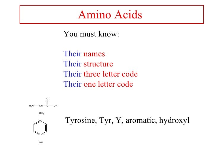 amino acids 1 tyrosine letter