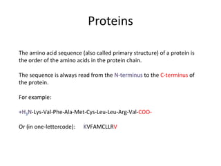 Amino Acid Sequence Example