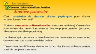 3
3 Structure tridimensionnelle des Protéines
Structure quaternaire
C’est l’association de plusieurs chaînes peptidiques pour donner
un complexe stable et actif.
Plusieurs sous-unités tridimensionnelles (structures tertiaires) s’assemblent
pour former des unités fonctionnelles beaucoup plus grandes (enzymes,
ribosomes et des fibres protéiques).
Les chaînes qui constituent ce complexe sont des protomères ou sous-unités,
chacune ayant une structure tertiaire définie.
L’association des différentes chaînes se fait via des liaisons faibles et parfois
aussi via des ponts disulfures.
 
