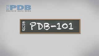 3
3 Structure tridimensionnelle des Protéines
 