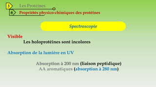 3
6 Propriétés physico-chimiques des protéines
Spectroscopie
Visible
Les holoprotéines sont incolores
Absorption de la lumière en UV
Absorption à 200 nm (liaison peptidique)
AA aromatiques (absorption à 280 nm)
 