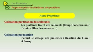 3
6 Propriétés physico-chimiques des protéines
Autre Propriétés
Coloration par fixation des colorants
Les protéines fixent des colorants (Rouge Ponceau, noir
d’amide, Bleu de coomasie…)
Coloration par réaction
Permet le dosage des protéines : Réaction du biuret
et Lowry.
 