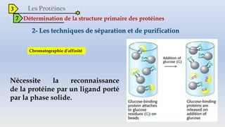 3
7 Détermination de la structure primaire des protéines
Chromatographie d’affinité
 