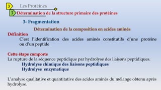3
7 Détermination de la structure primaire des protéines
Détermination de la composition en acides aminés
Définition
C’est l’identification des acides aminés constitutifs d’une protéine
ou d’un peptide
Cette étape comporte
La rupture de la séquence peptidique par hydrolyse des liaisons peptidiques.
Hydrolyse chimique des liaisons peptidiques
Hydrolyse enzymatique
L’analyse qualitative et quantitative des acides aminés du mélange obtenu après
hydrolyse.
 