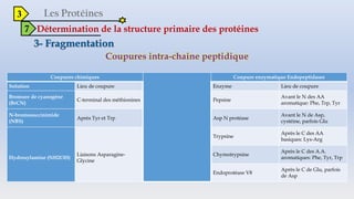3
7 Détermination de la structure primaire des protéines
Coupures intra-chaine peptidique
Coupures chimiques Coupure enzymatique Endopeptidases
Solution Lieu de coupure Enzyme Lieu de coupure
Bromure de cyanogène
(BrCN)
C-terminal des méthionines Pepsine
Avant le N des AA
aromatique: Phe, Trp, Tyr
N-bromosuccinimide
(NBS)
Après Tyr et Trp Asp N protéase
Avant le N de Asp,
cystéine, parfois Glu
Hydroxylamine (NH2OH)
Liaisons Asparagine-
Glycine
Trypsine
Après le C des AA
basiques: Lys-Arg
Chymotrypsine
Après le C des A.A.
aromatiques: Phe, Tyr, Trp
Endoprotéase V8
Après le C de Glu, parfois
de Asp
 