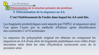 3
7 Détermination de la structure primaire des protéines
C’est l’établissement de l’ordre dans lequel les AA sont liés.
Les fragments protéolytiques sont séparés par l'HPLC et séquencer ainsi
l’un après l’autre par la méthode d'Edman après identification
des extrémités C et N terminales.
La séquence du polypeptide original est obtenue en comparant les
séquences en AA d'une série de fragments peptidiques avec celles d'une
deuxième série dont les sites d'hydrolyse recouvrent ceux de la
première série
 